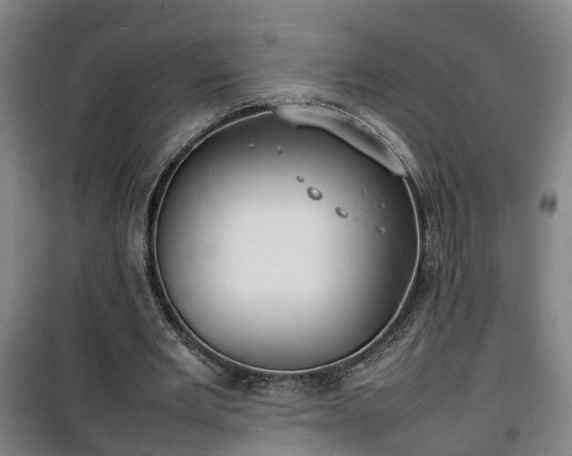 X0000100190485200806061302