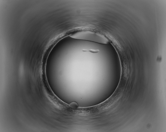 X0000100190486200806061302