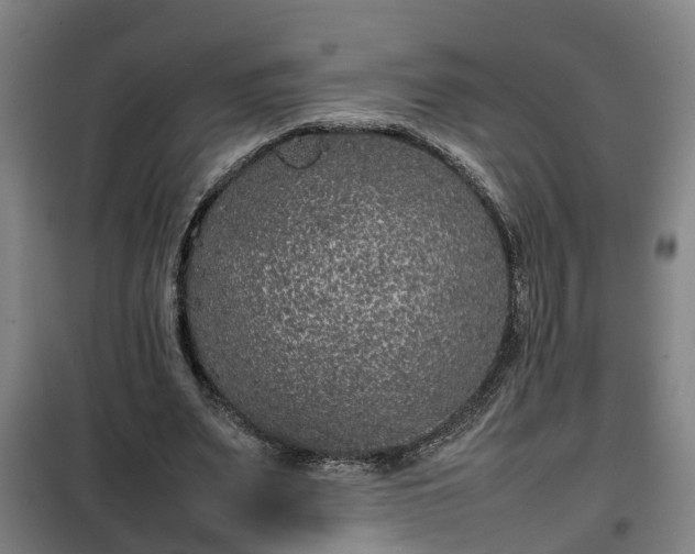 X0000100190487200806061302