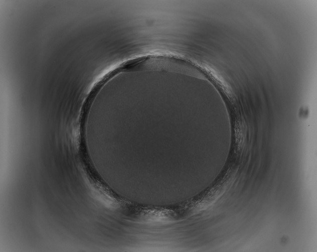 X0000100190488200806061302