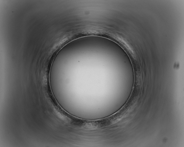 X0000100190489200806061302