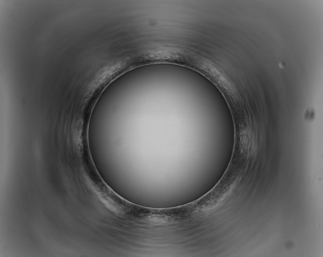 X0000100190490200806061302