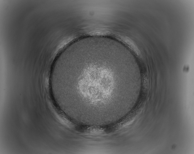 X0000100190491200806061302