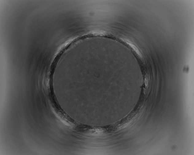 X0000100190492200806061302