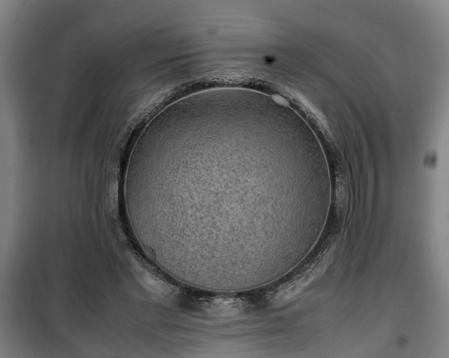 X0000100190493200806061302