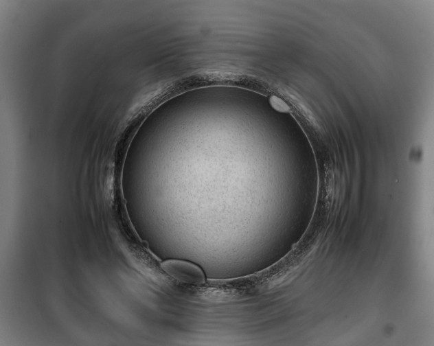 X0000100190494200806061302