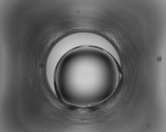 X0000100190495200806061302