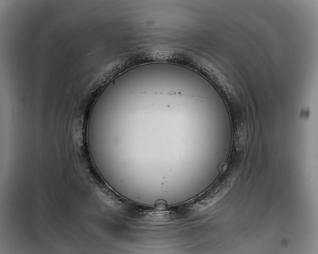 X0000100190497200806061302