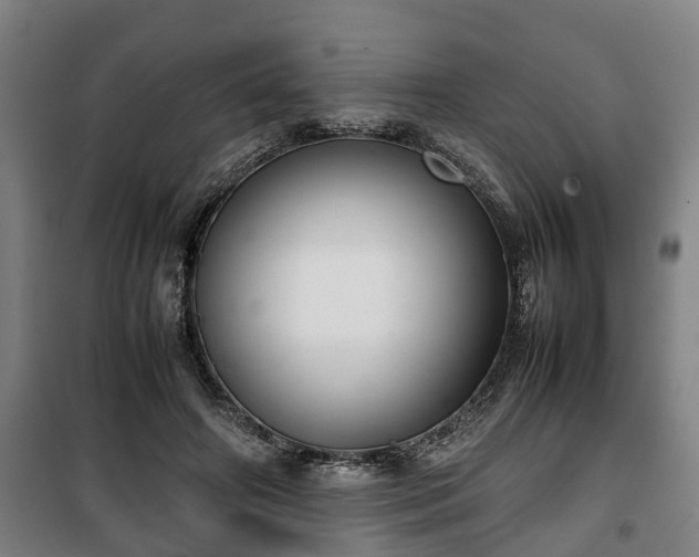 X0000100190498200806061302