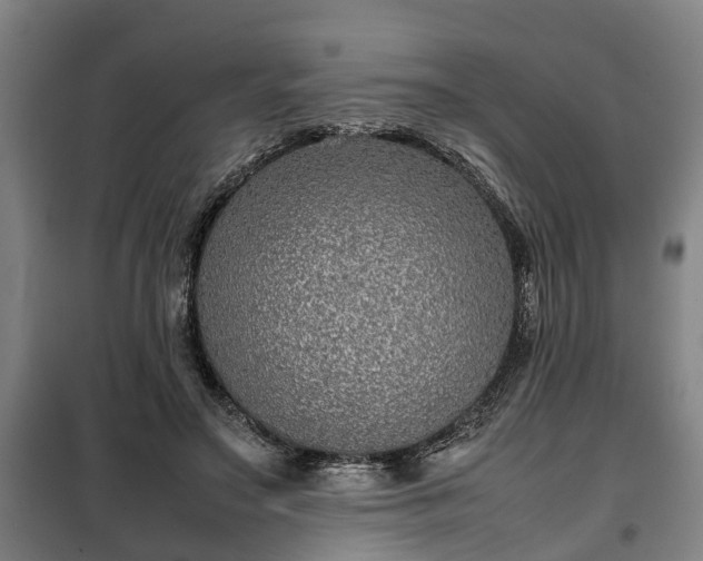 X0000100190499200806061302