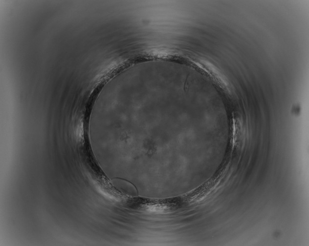 X0000100190500200806061302