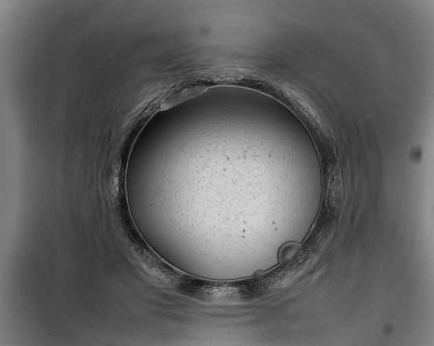 X0000100190501200806061302