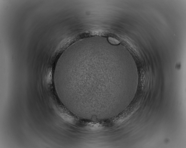 X0000100190502200806061302