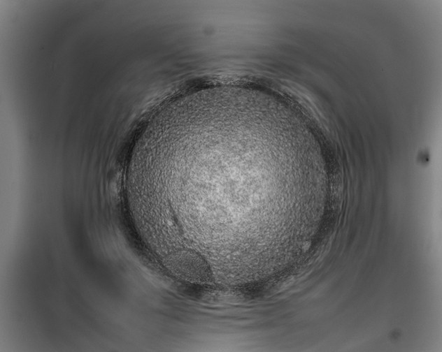 X0000100190503200806061302