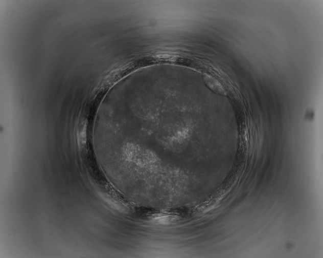 X0000100190504200806061302