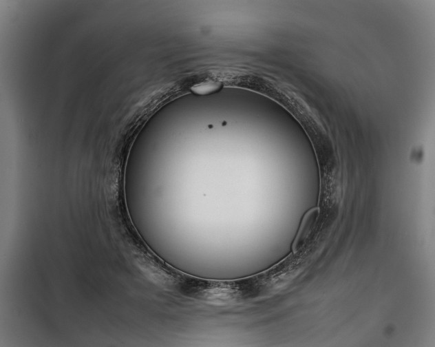 X0000100190505200806061302