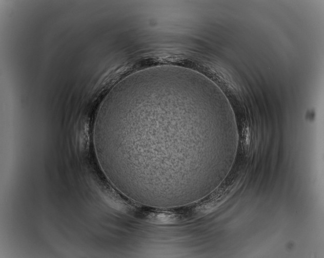 X0000100190506200806061302