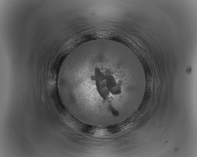 X0000100190507200806061302