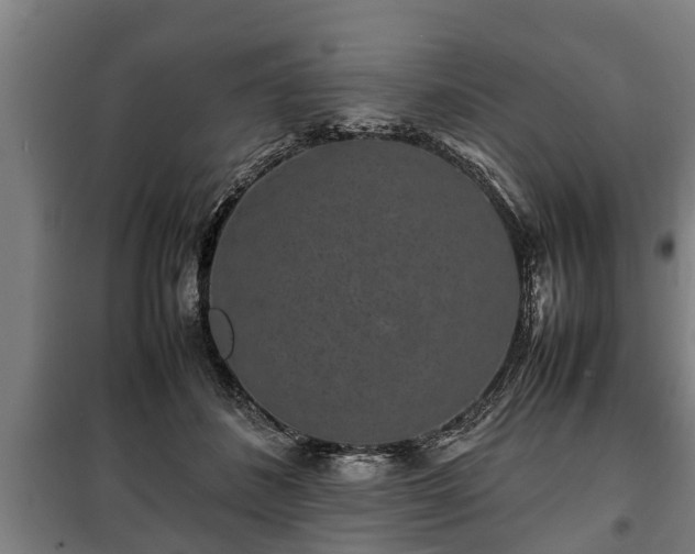 X0000100190508200806061302