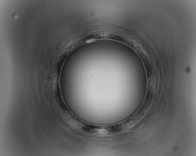 X0000100190509200806061302