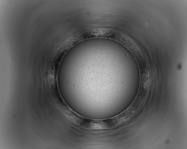 X0000100190510200806061301