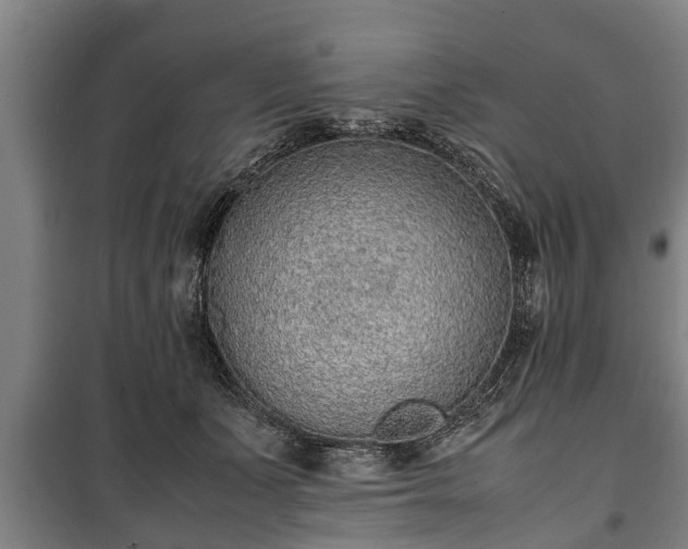 X0000100190511200806061301