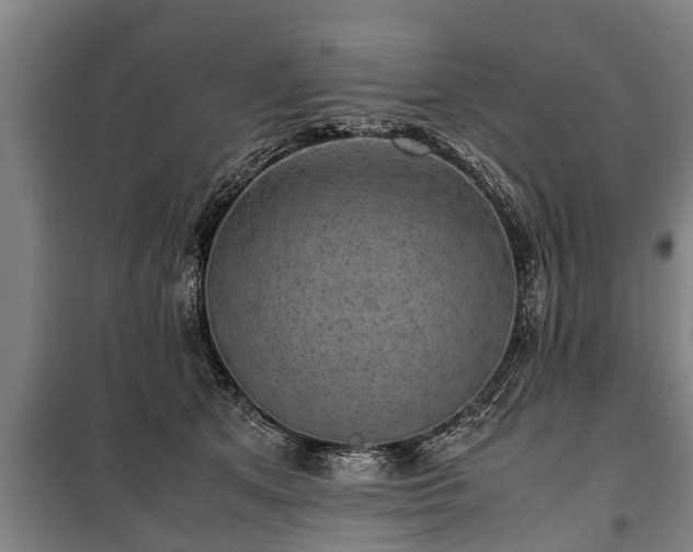 X0000100190513200806061301