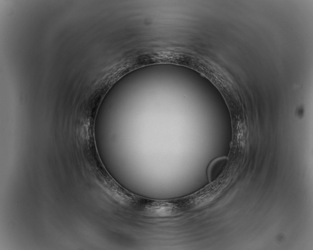 X0000100190514200806061301