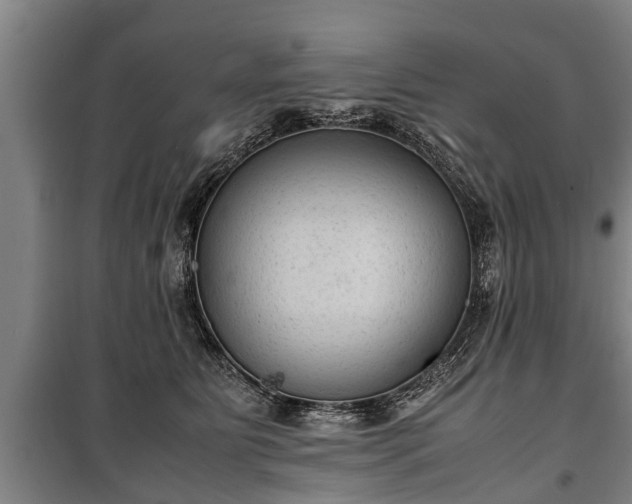 X0000100190515200806061301