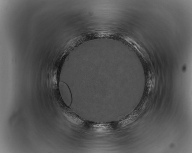 X0000100190516200806061301