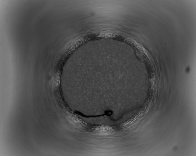 X0000100190517200806061301