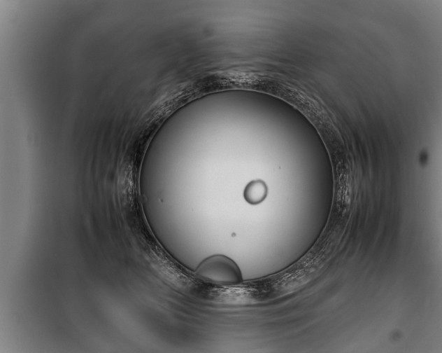 X0000100190518200806061301