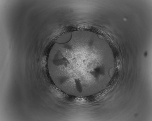 X0000100190519200806061301