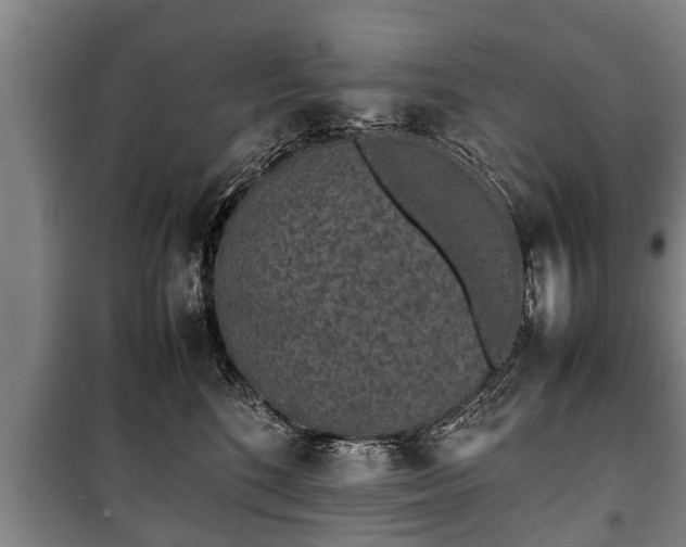 X0000100190520200806061301