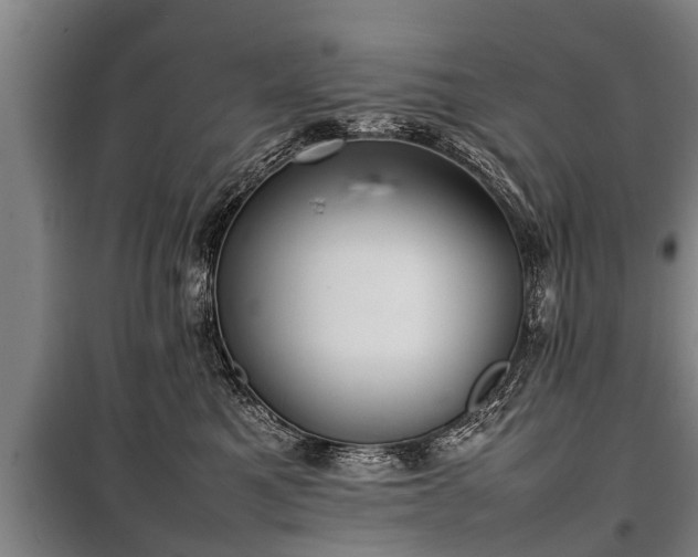 X0000100190521200806061301