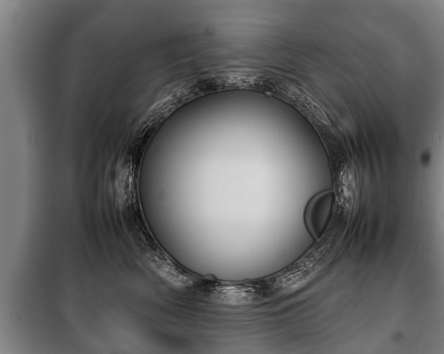 X0000100190522200806061301