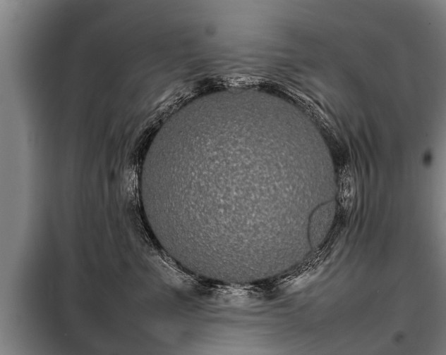 X0000100190523200806061301