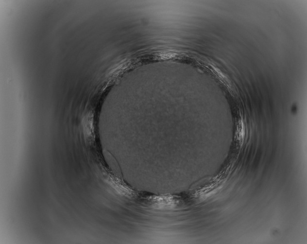 X0000100190524200806061301