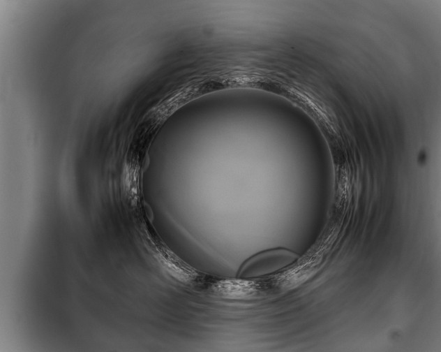 X0000100190526200806061301