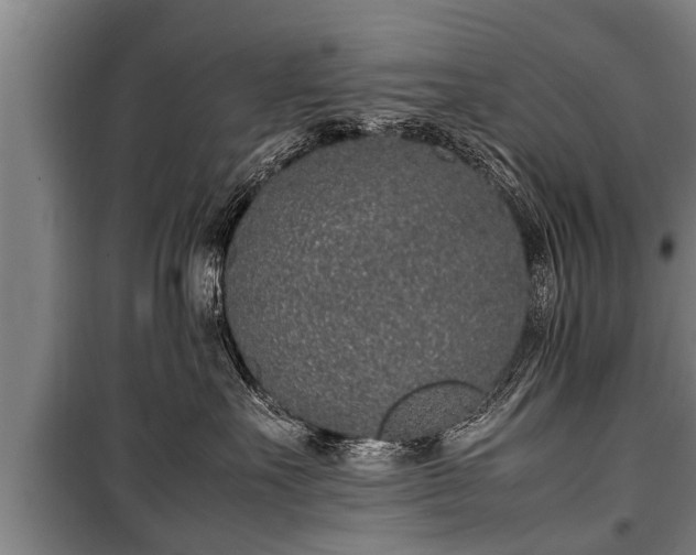 X0000100190527200806061301