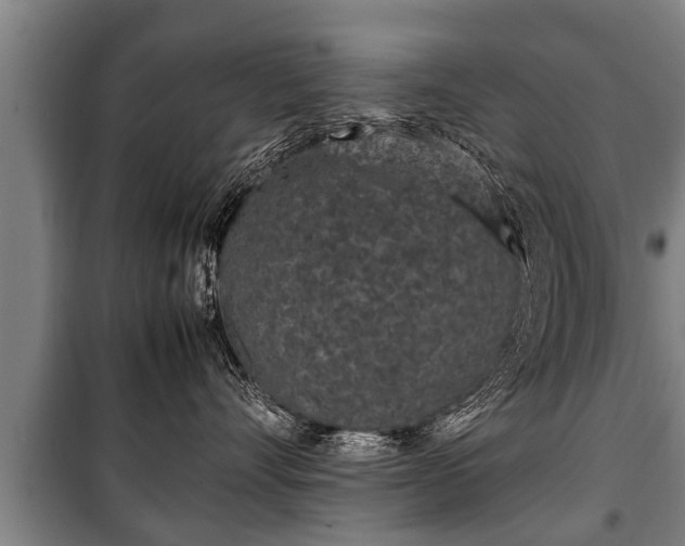 X0000100190528200806061301