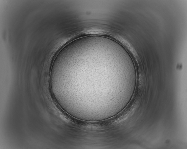 X0000100190529200806061300