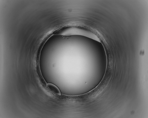 X0000100190530200806061300