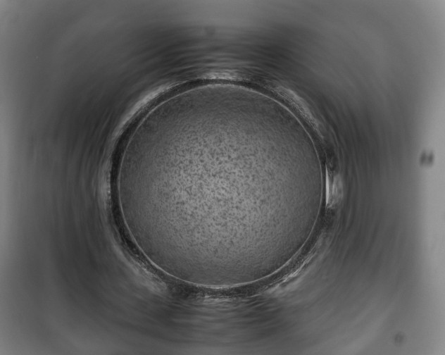 X0000100190531200806061301