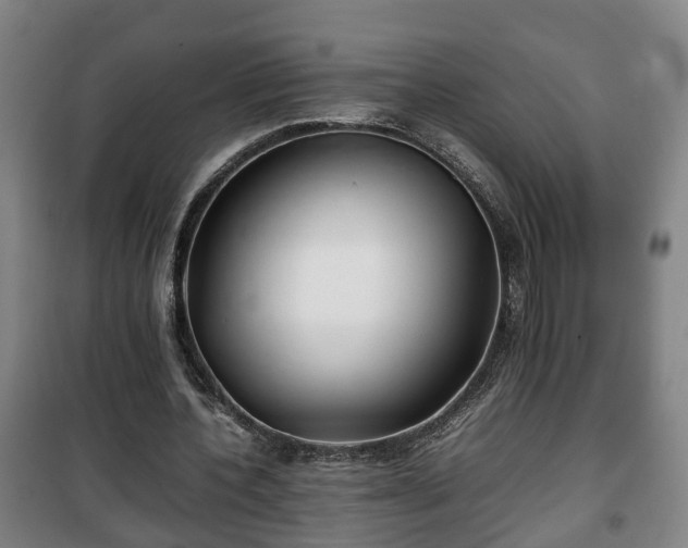 X0000100190532200806061301