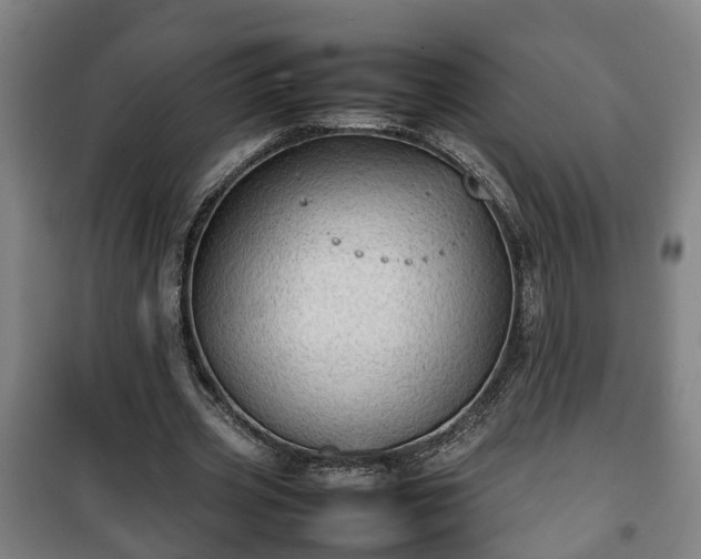 X0000100190533200806061301