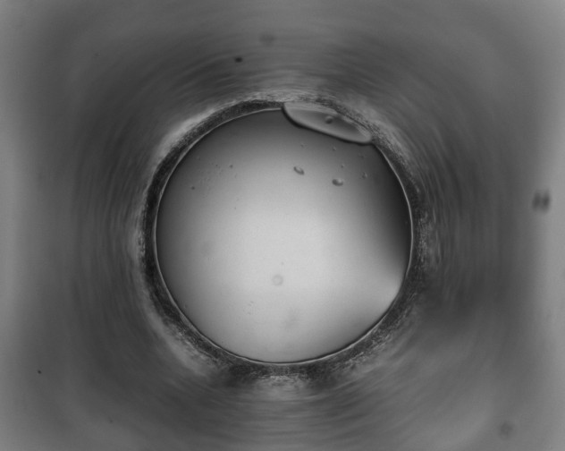 X0000100190536200806061301