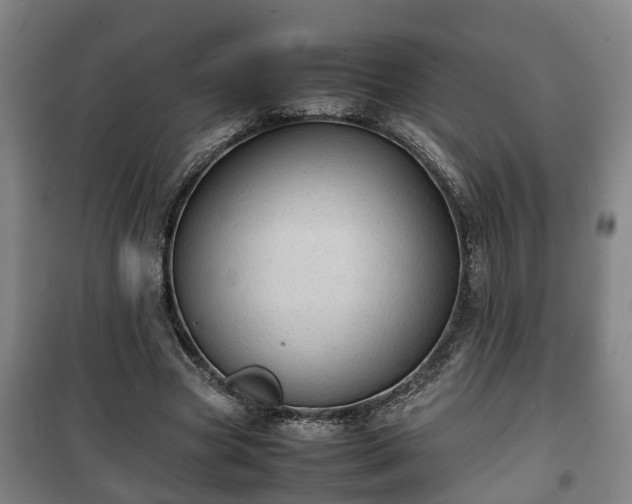 X0000100190537200806061301