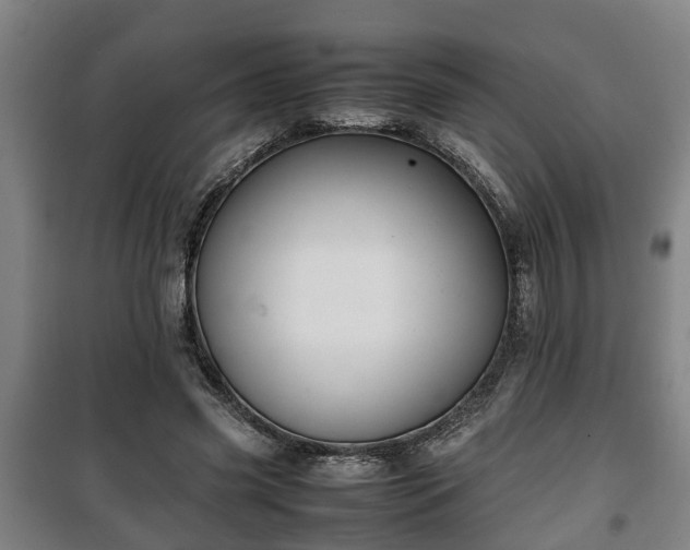 X0000100190541200806061301