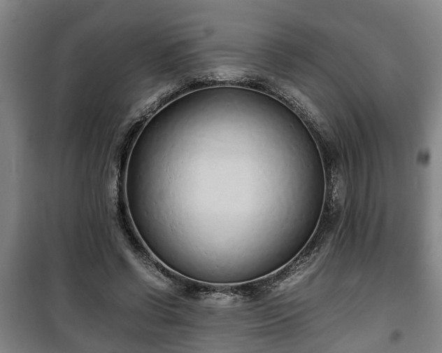 X0000100190542200806061301